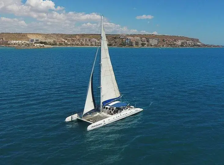 Costa y Vela